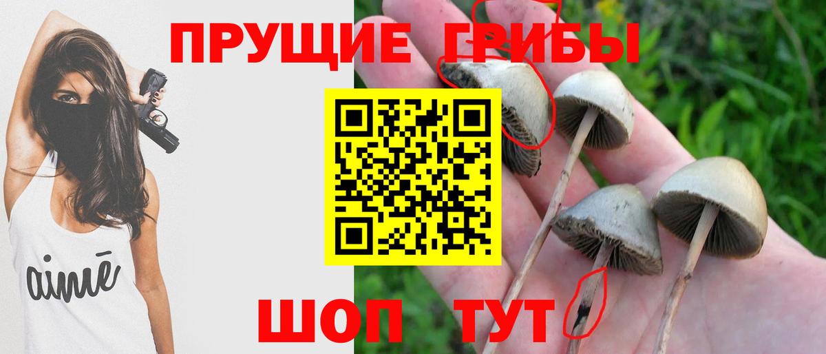 Галлюциногенные грибы мухоморы  Вход с VPN  Псилоцибиновые грибы GOLDEN TEACHER  дарнет шоп  Валуйки 